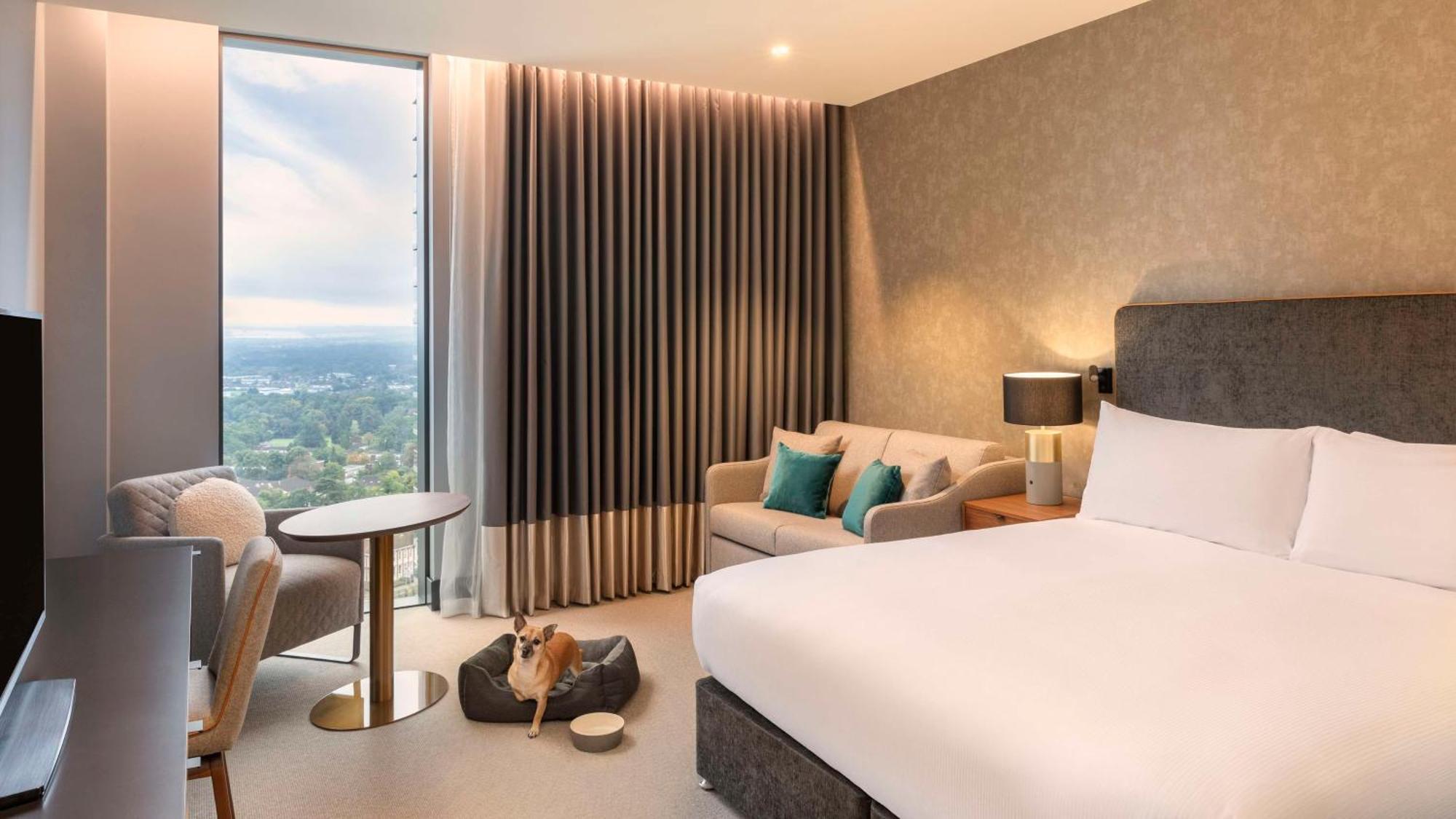 Hilton Woking Ξενοδοχείο Εξωτερικό φωτογραφία